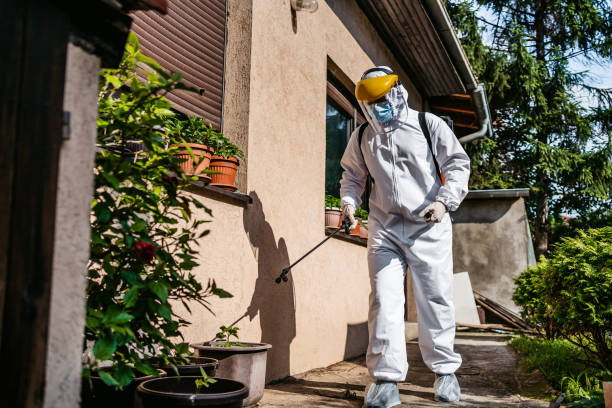 Reliable Prospect Park, PA Pest Control Solutions
