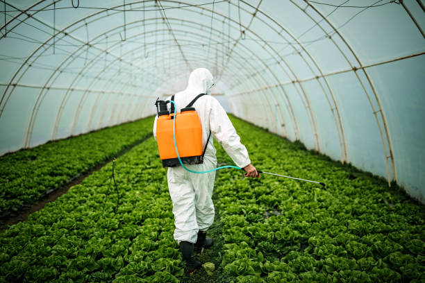 Best Local Pest Control Services  in Prospect Rk, PA