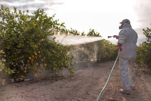 Best Residential Pest Control  in Prospect Rk, PA