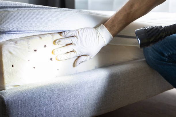 Best Pest Control for Restaurants  in Prospect Rk, PA
