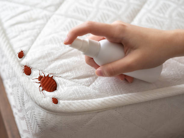 Best Pest Control Near Me  in Prospect Rk, PA